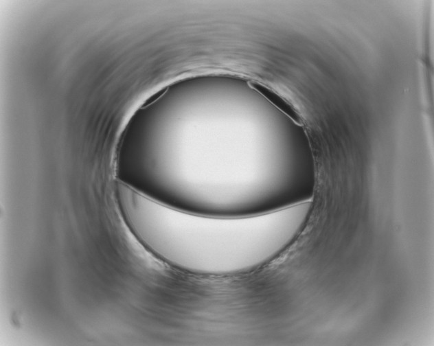 X0000096401524200801240952