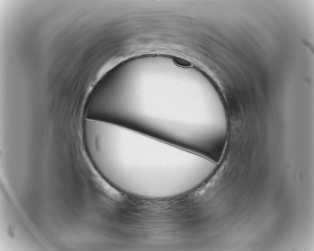 X0000096401525200801240952