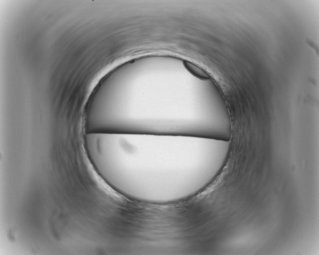 X0000096401526200801240952