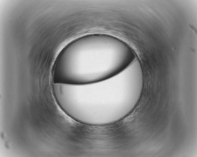 X0000096401527200801240952