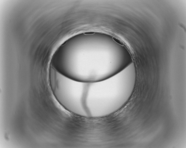 X0000096401528200801240952