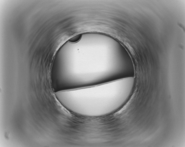 X0000096401529200801240952