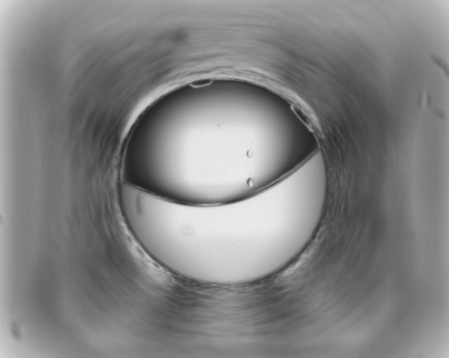 X0000096401530200801240952