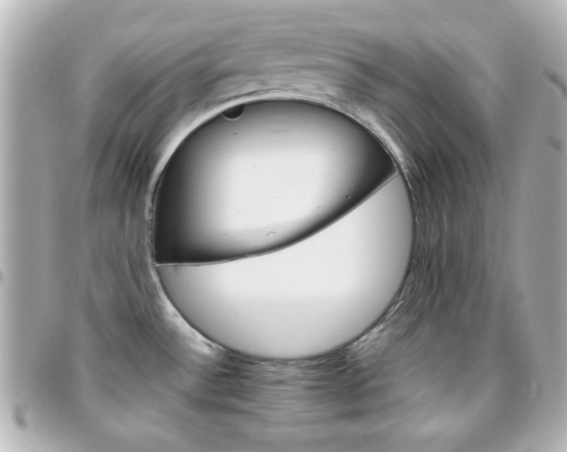 X0000096401532200801240952