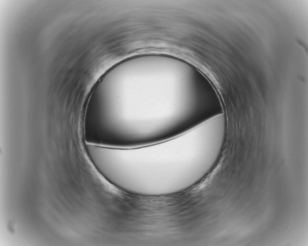 X0000096401533200801240952