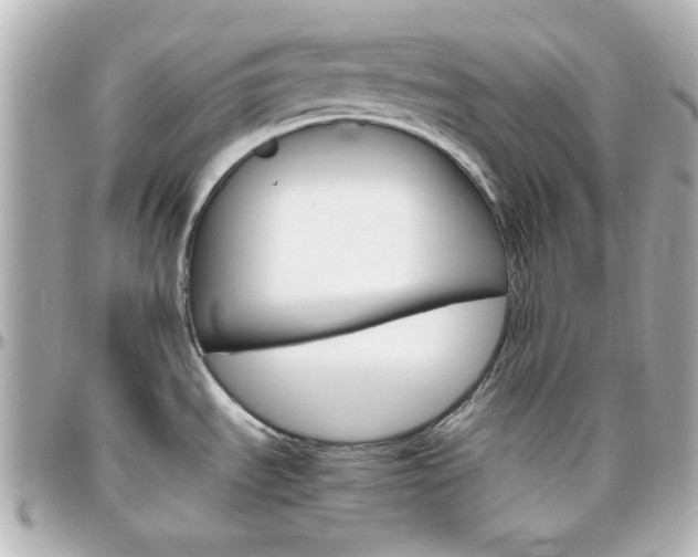 X0000096401535200801240952