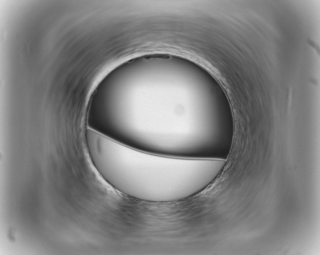 X0000096401536200801240952
