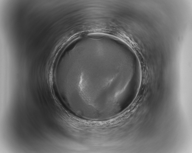 X0000096400002200801241210