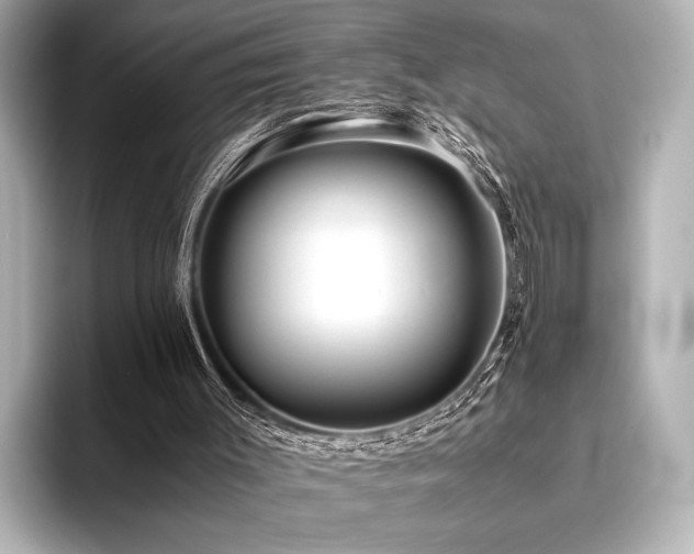 X0000096400003200801241210