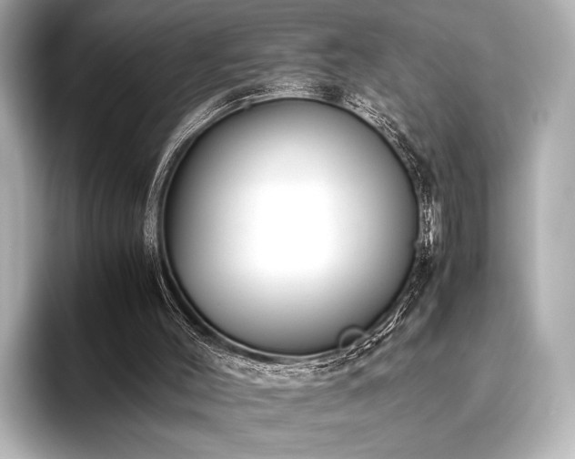 X0000096400004200801241210