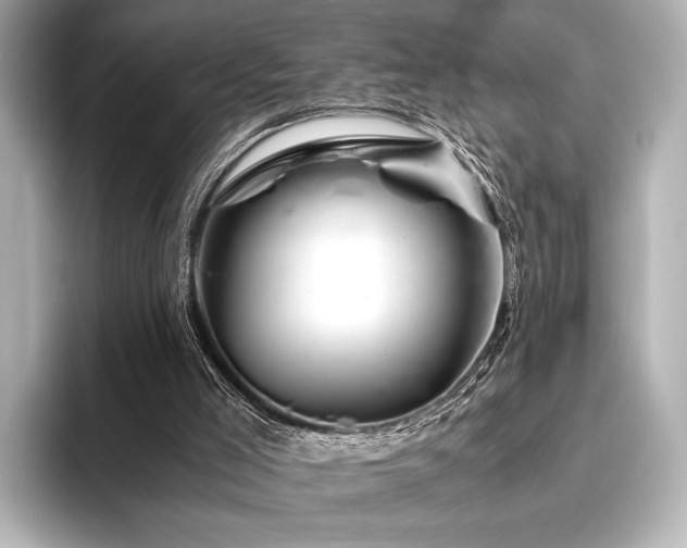 X0000096400005200801241210