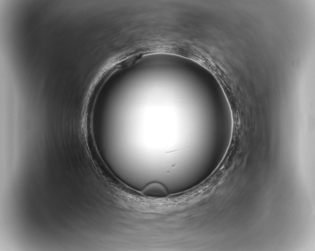 X0000096400006200801241210