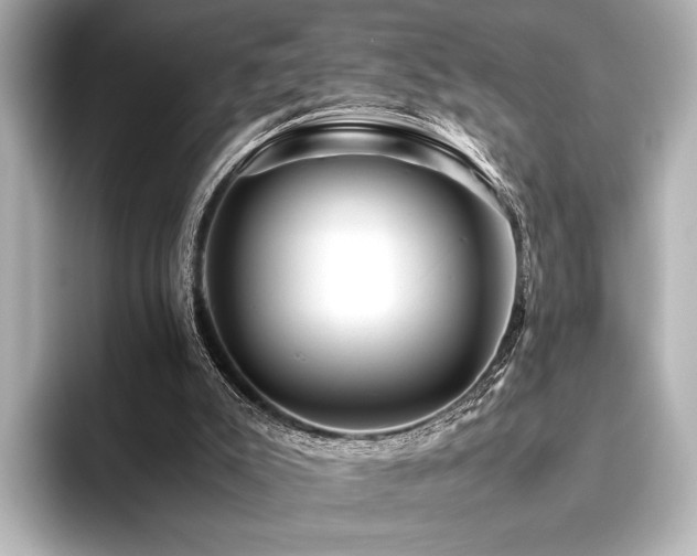 X0000096400007200801241210