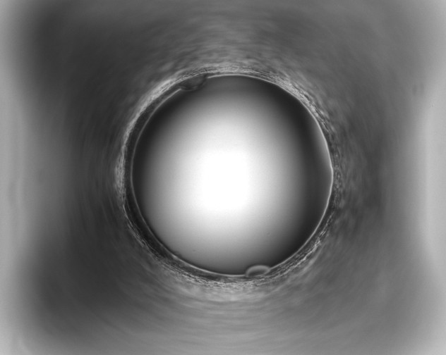 X0000096400008200801241210