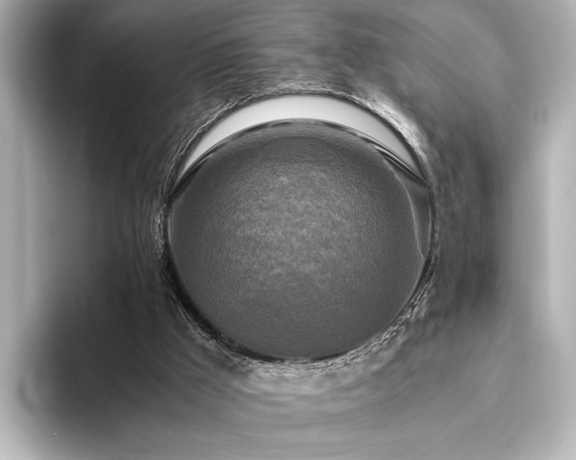 X0000096400009200801241210