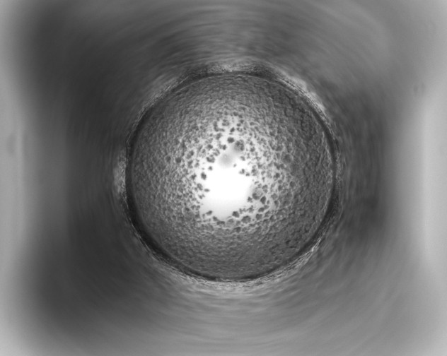 X0000096400010200801241210