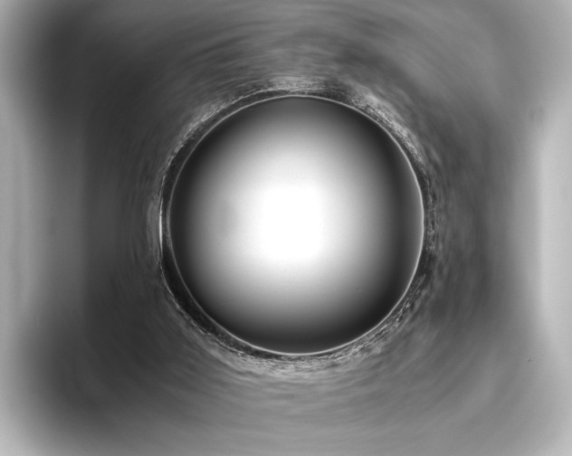 X0000096400011200801241210