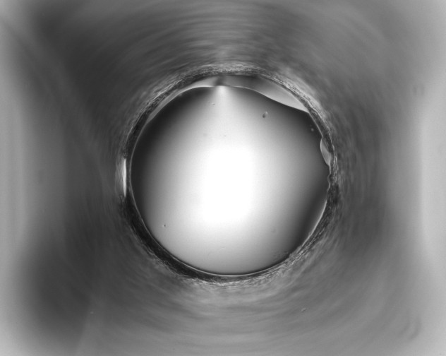 X0000096400013200801241210