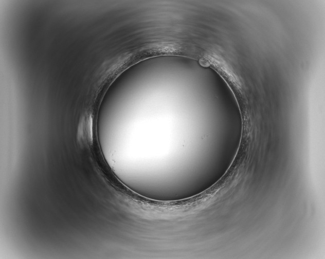 X0000096400014200801241210