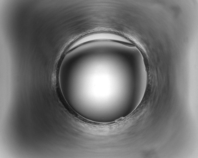 X0000096400015200801241210