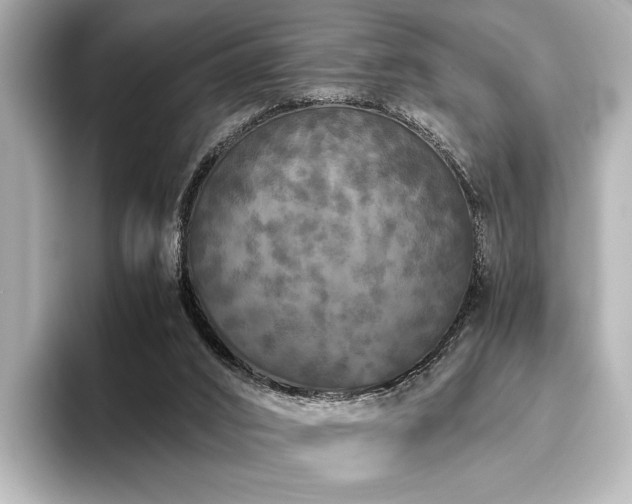 X0000096400016200801241210