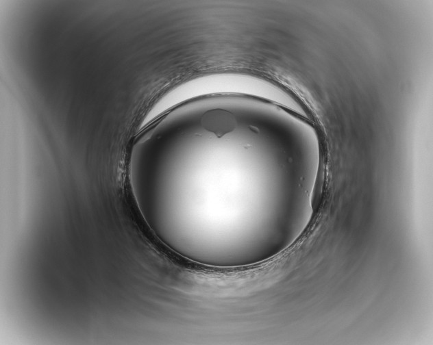 X0000096400017200801241210