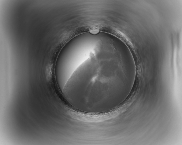 X0000096400018200801241210