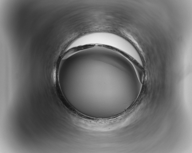 X0000096400019200801241210