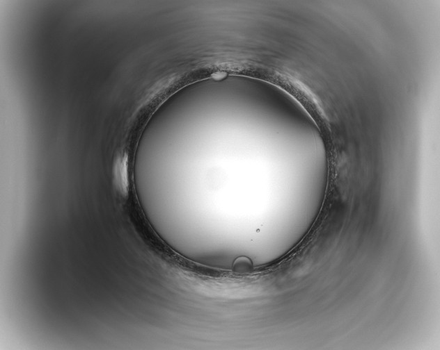 X0000096400020200801241210