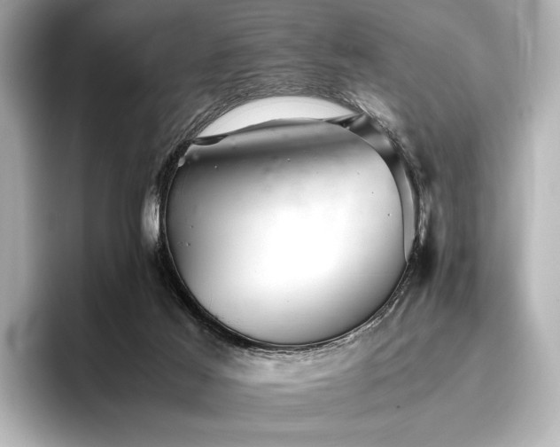 X0000096400021200801241210