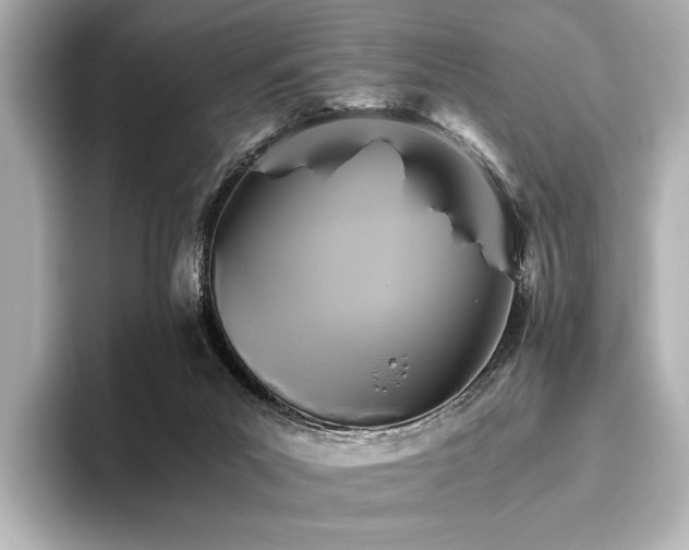 X0000096400023200801241210