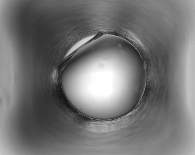 X0000096400025200801241210