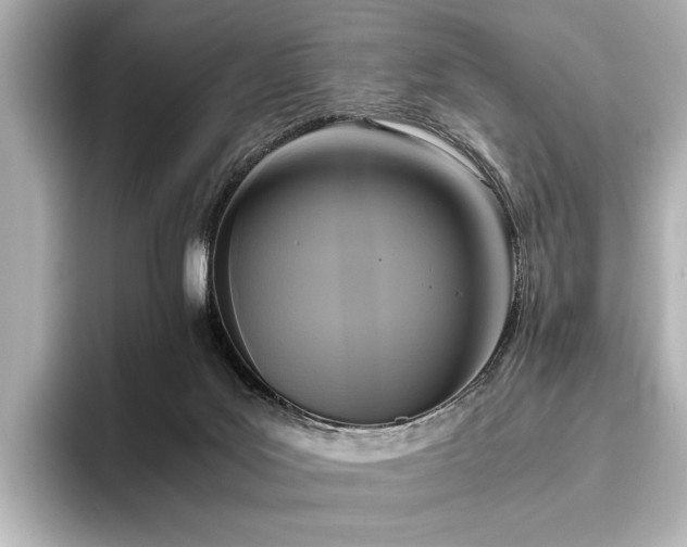 X0000096400027200801241210