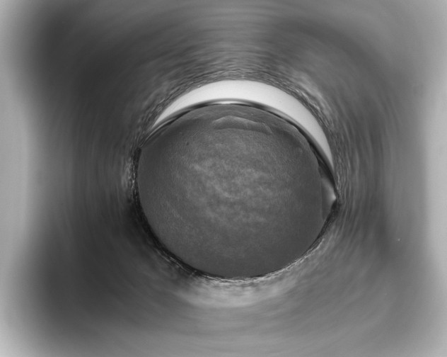 X0000096400029200801241209