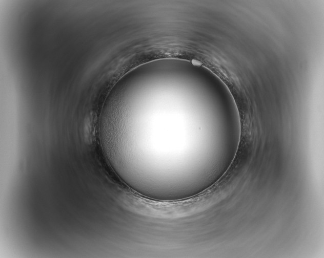 X0000096400030200801241209