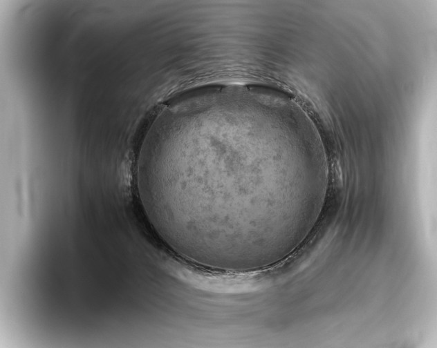 X0000096400032200801241209