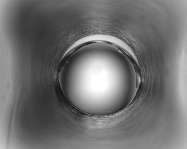 X0000096400033200801241209