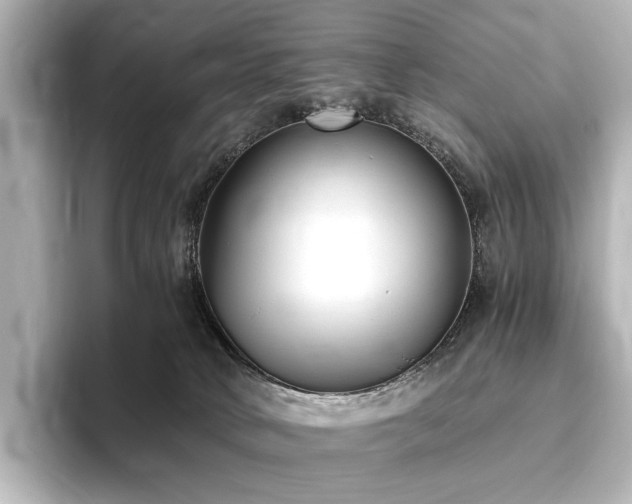 X0000096400034200801241209