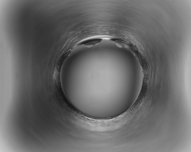 X0000096400035200801241209