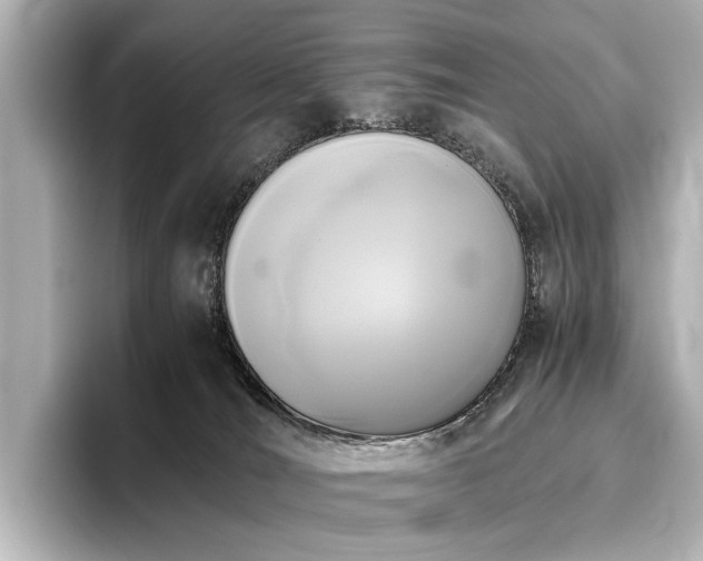 X0000096400036200801241209