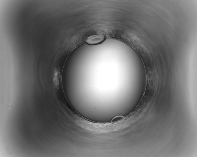 X0000096400038200801241209