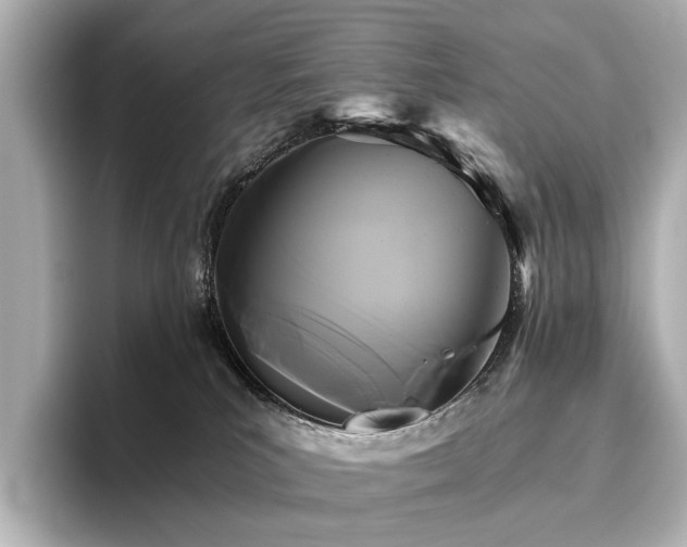 X0000096400039200801241209