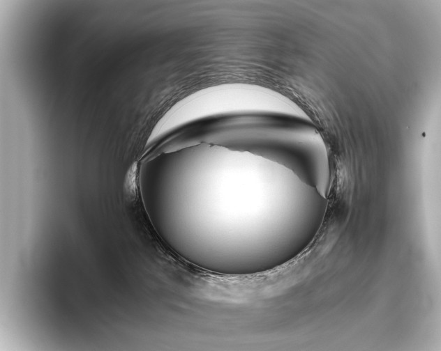 X0000096400041200801241209