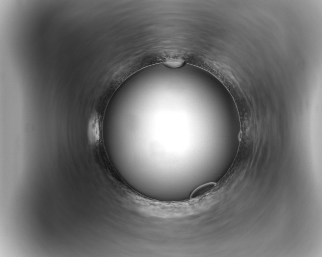 X0000096400042200801241209