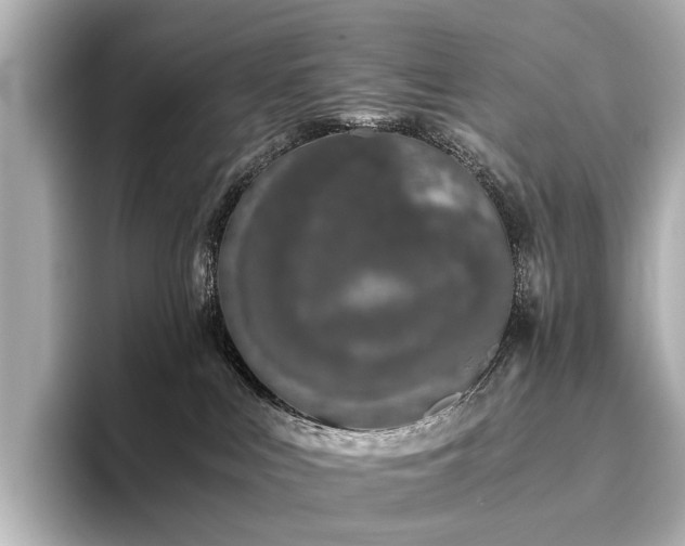 X0000096400043200801241209