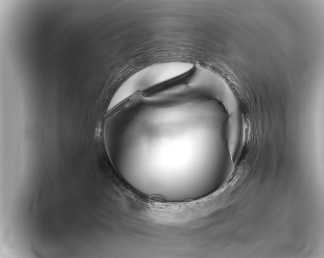 X0000096400045200801241209