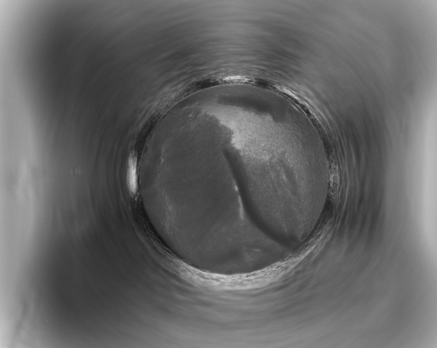 X0000096400046200801241209