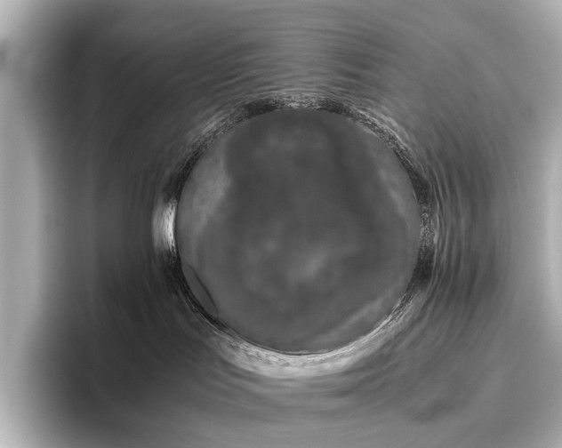 X0000096400047200801241209