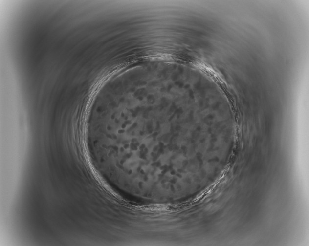 X0000096400049200801241209