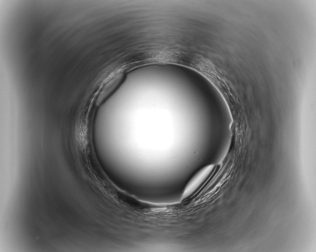 X0000096400050200801241209